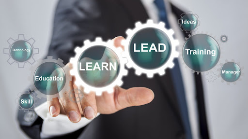 Leadership Development and coaching